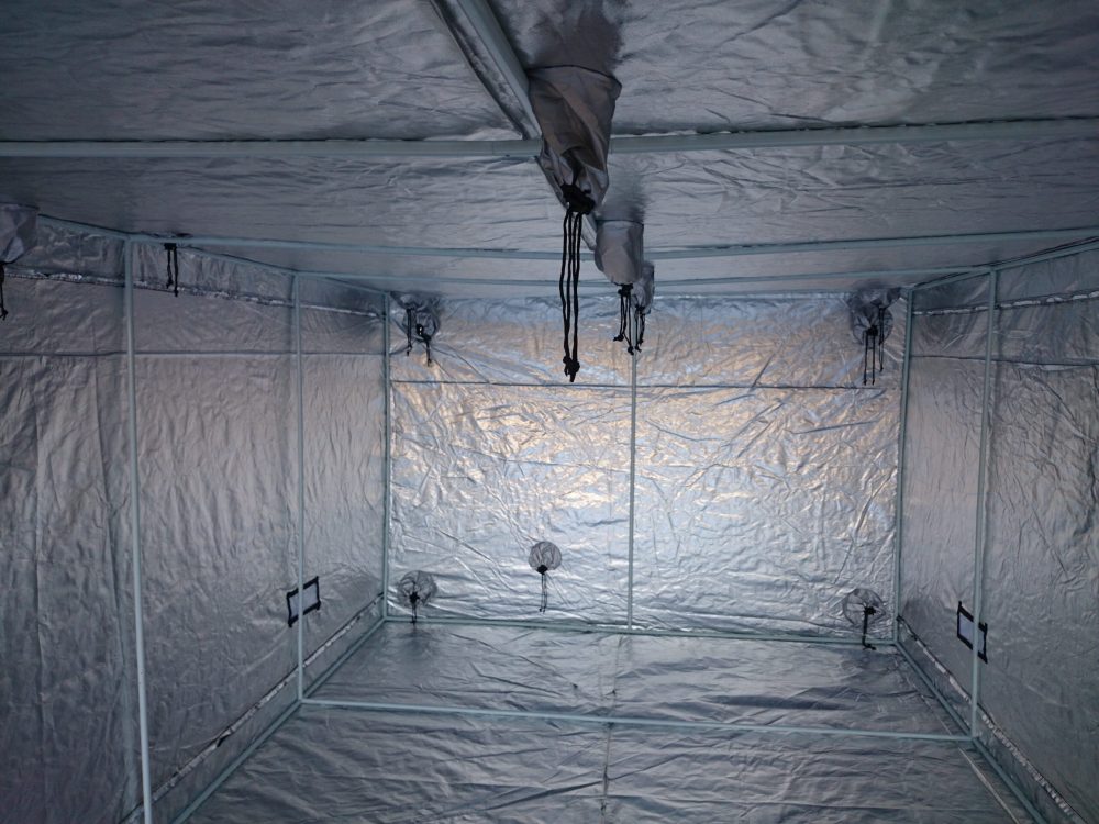 Growbox -Tende per coltivazione indoor - immagine 5