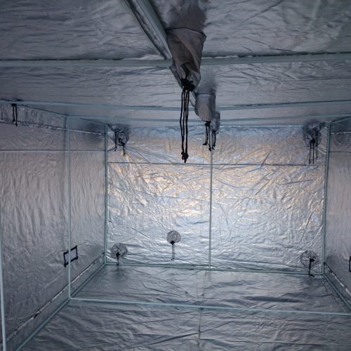 Growbox -Tende per coltivazione indoor - immagine 5