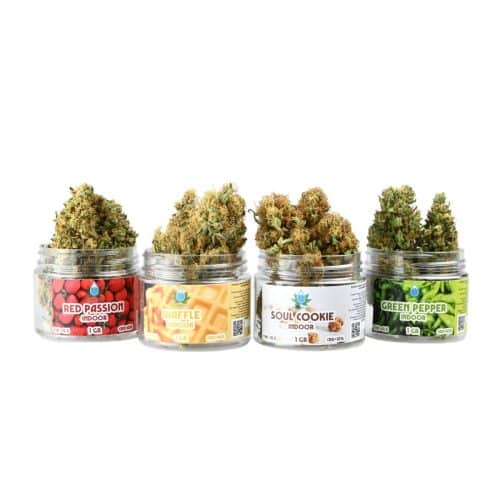 set degustazione cannabis light