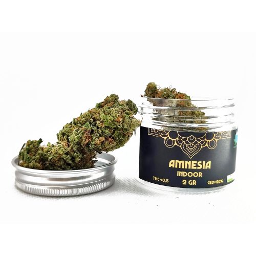 Amnesia CBd Indoor