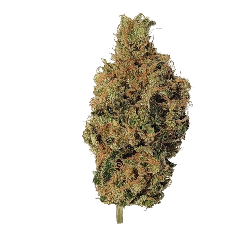 Fruit H Infiorescenza CBD Indoor - immagine 2