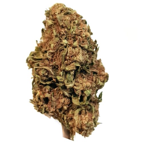 Offerta Cannabis SB