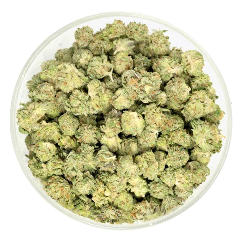 small bud cannabis light fiori piccoli